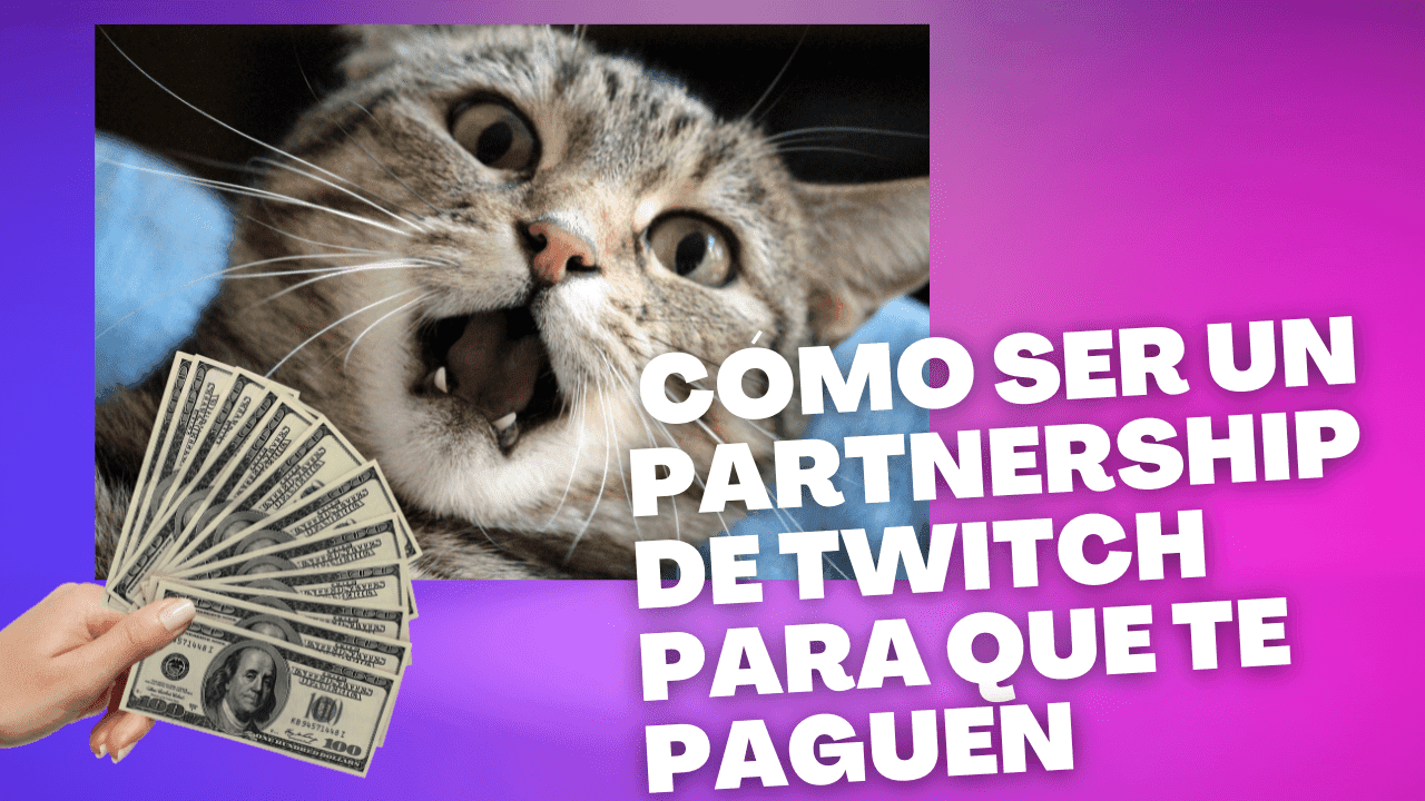 ser un partnertship de twitch