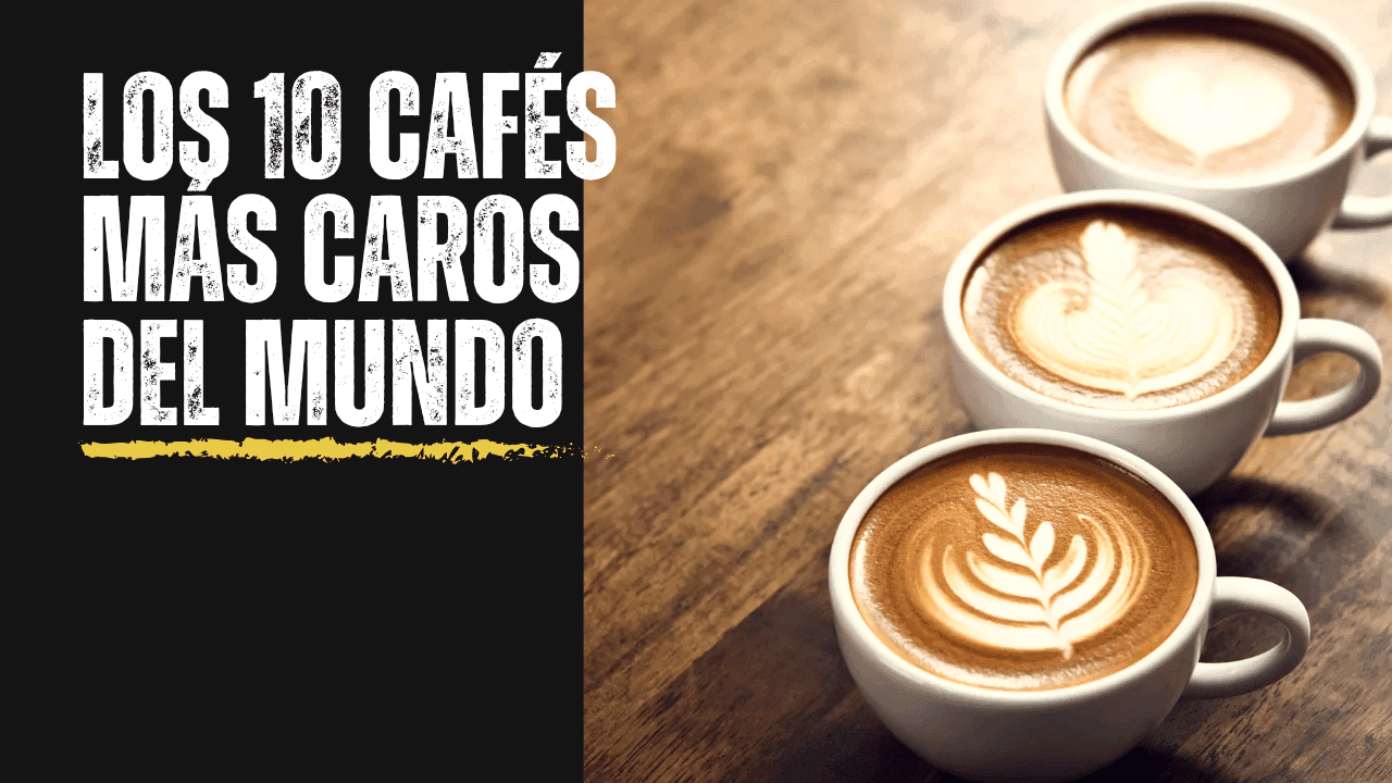 Los 10 cafés más caros del mundo